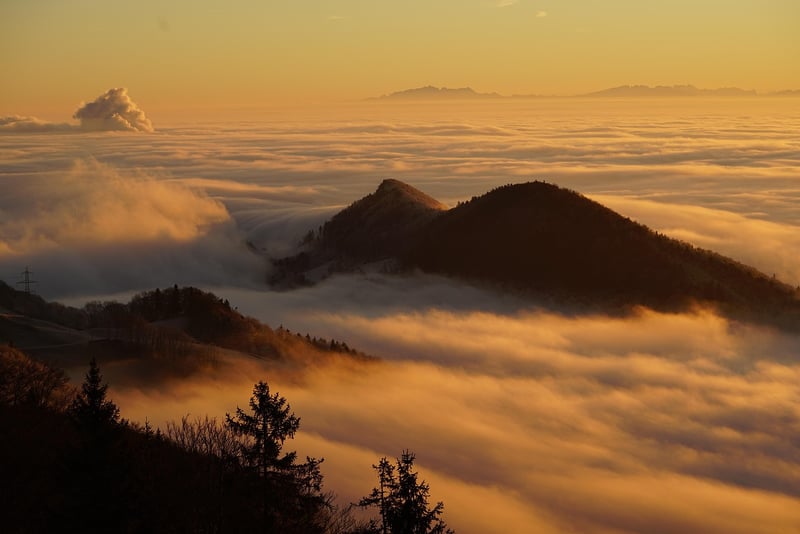 Fog Machine